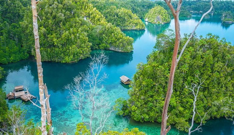 Homestay A Raja Ampat Bell Travel